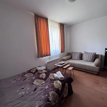 Kalina Apartment's In * 班斯科