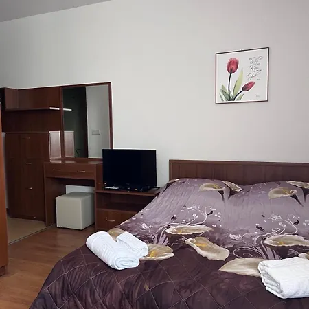 公寓 Kalina Apartment's In 班斯科