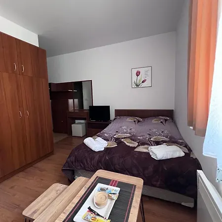 Kalina Apartment's In 公寓 班斯科
