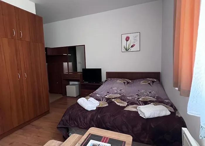 Kalina Apartment's In Апартамент Банско